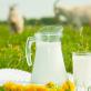 Повышаем молочную продуктивность коз